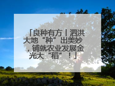 良种有方丨泗洪大地“种”出美妙，铺就农业发展金光大“稻”！
