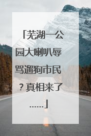 芜湖一公园大喇叭辱骂遛狗市民？真相来了……
