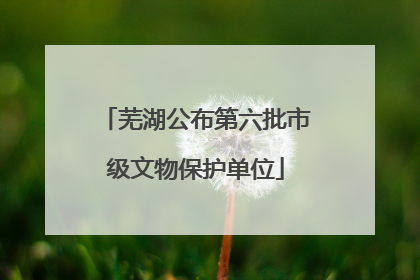 芜湖公布第六批市级文物保护单位