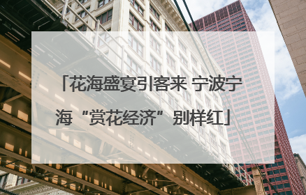 花海盛宴引客来 宁波宁海“赏花经济”别样红