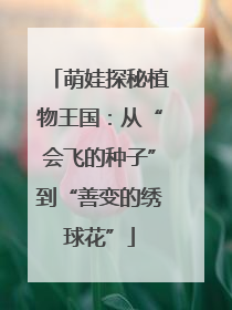 萌娃探秘植物王国：从“会飞的种子”到“善变的绣球花”