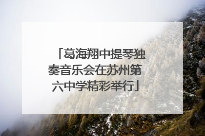 葛海翔中提琴独奏音乐会在苏州第六中学精彩举行