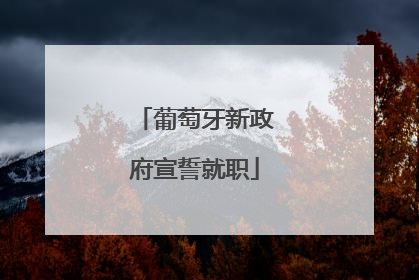 葡萄牙新政府宣誓就职