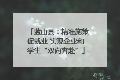 蓝山县：精准施策促就业 实现企业和学生“双向奔赴”