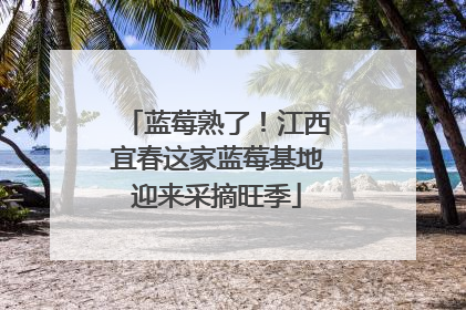 蓝莓熟了！江西宜春这家蓝莓基地迎来采摘旺季