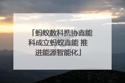 蚂蚁数科携协鑫能科成立蚂蚁鑫能 推进能源智能化