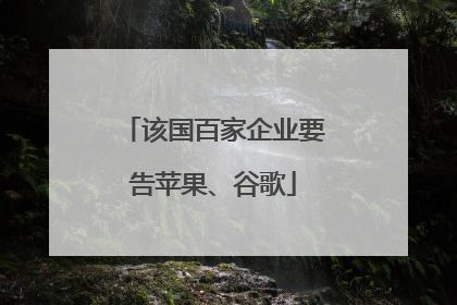 该国百家企业要告苹果、谷歌