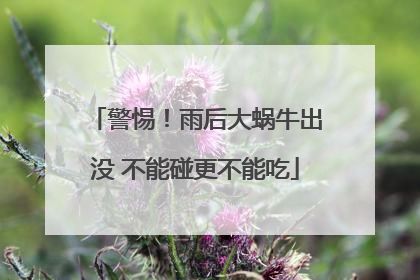 警惕！雨后大蜗牛出没 不能碰更不能吃