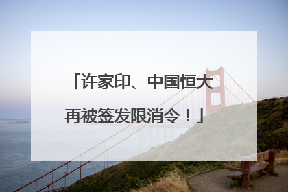 许家印、中国恒大再被签发限消令！