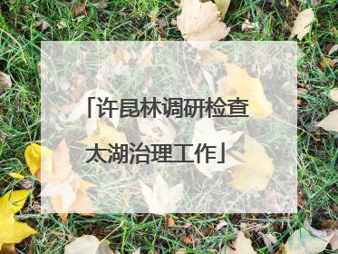 许昆林调研检查太湖治理工作