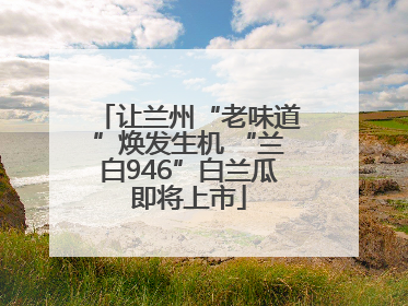 让兰州“老味道”焕发生机 “兰白946”白兰瓜即将上市