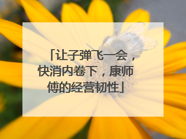 让子弹飞一会，快消内卷下，康师傅的经营韧性