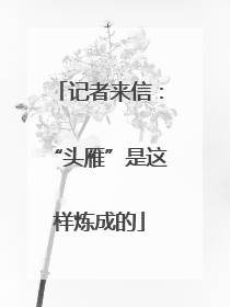 记者来信：“头雁”是这样炼成的