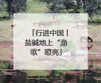 行进中国丨盐碱地上“渔歌”嘹亮