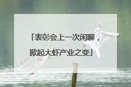 表彰会上一次闲聊，掀起大虾产业之变