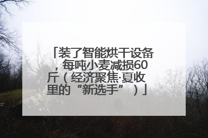 装了智能烘干设备，每吨小麦减损60斤（经济聚焦·夏收里的“新选手”）