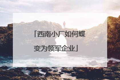西南小厂如何蝶变为领军企业