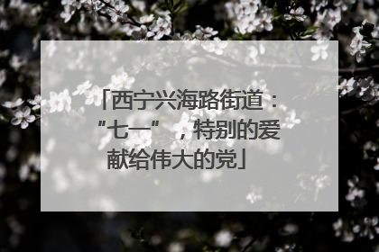 西宁兴海路街道：“七一”，特别的爱献给伟大的党