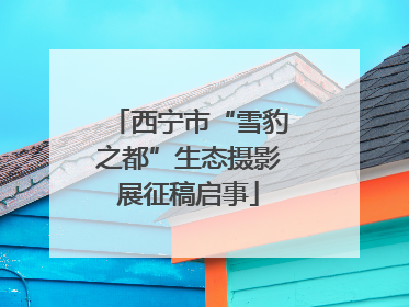 西宁市“雪豹之都”生态摄影展征稿启事