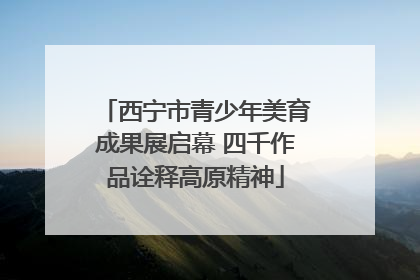 西宁市青少年美育成果展启幕 四千作品诠释高原精神