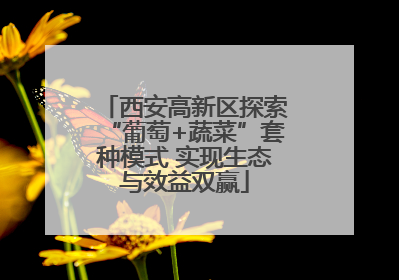 西安高新区探索“葡萄+蔬菜”套种模式 实现生态与效益双赢