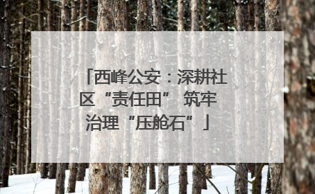 西峰公安：深耕社区“责任田” 筑牢治理“压舱石”