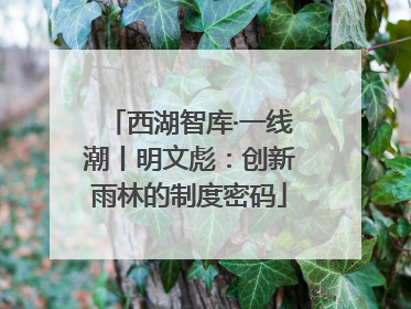 西湖智库·一线潮丨明文彪：创新雨林的制度密码
