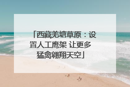 西藏羌塘草原：设置人工鹰架 让更多猛禽翱翔天空