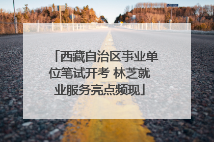 西藏自治区事业单位笔试开考 林芝就业服务亮点频现