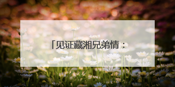 见证藏湘兄弟情：西藏山南特色产品亮相第四届中国-非洲经贸博览会