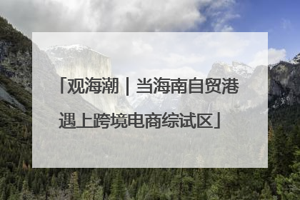 观海潮｜当海南自贸港遇上跨境电商综试区