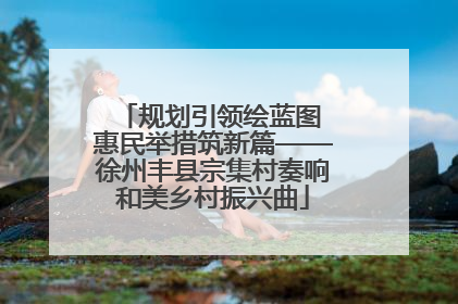 规划引领绘蓝图 惠民举措筑新篇——徐州丰县宗集村奏响和美乡村振兴曲