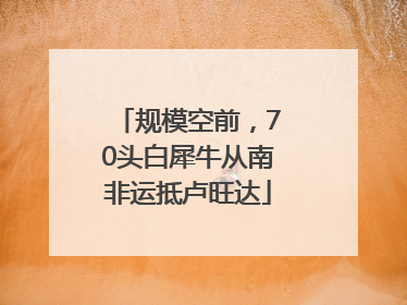 规模空前，70头白犀牛从南非运抵卢旺达