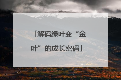 解码绿叶变“金叶”的成长密码