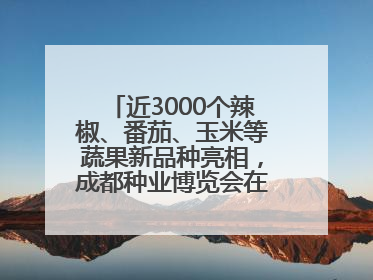 近3000个辣椒、番茄、玉米等蔬果新品种亮相，成都种业博览会在蓉开幕
