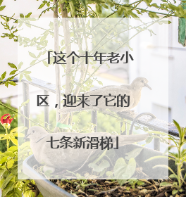 这个十年老小区，迎来了它的七条新滑梯