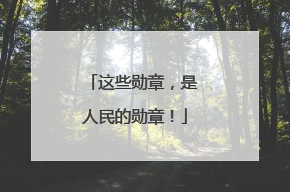 这些勋章，是人民的勋章！