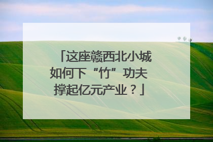 这座赣西北小城如何下“竹”功夫撑起亿元产业？