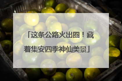 这条公路火出圈！藏着集安四季神仙美景