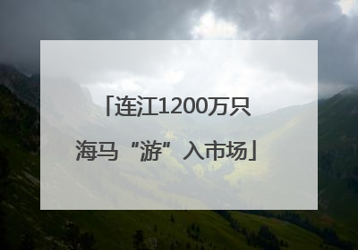 连江1200万只海马“游”入市场