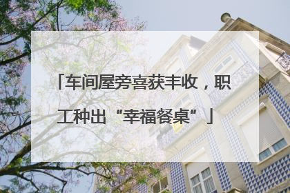 车间屋旁喜获丰收，职工种出“幸福餐桌”