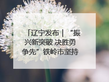 辽宁发布｜“振兴新突破 决胜勇争先”铁岭市坚持“项目为王”推进经济高质量发展
