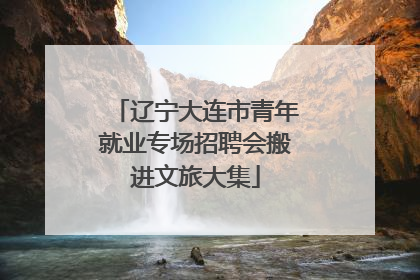 辽宁大连市青年就业专场招聘会搬进文旅大集