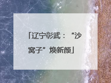 辽宁彰武：“沙窝子”焕新颜