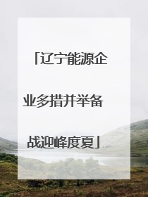 辽宁能源企业多措并举备战迎峰度夏