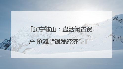 辽宁鞍山：盘活闲置资产 抢滩“银发经济”