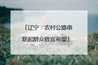 辽宁：农村公路串联起群众致富希望