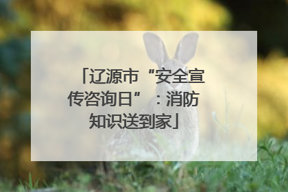 辽源市“安全宣传咨询日”：消防知识送到家