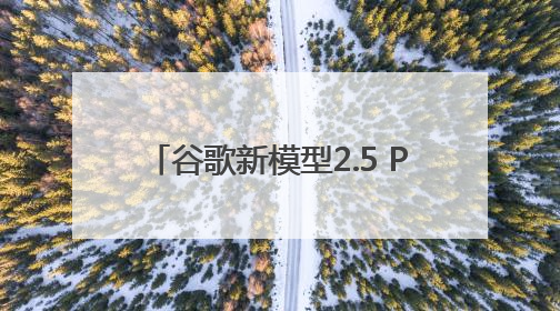 谷歌新模型2.5 Pro霸榜AI竞技场，开发者评价两极分化
