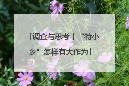 调查与思考丨“特小乡”怎样有大作为